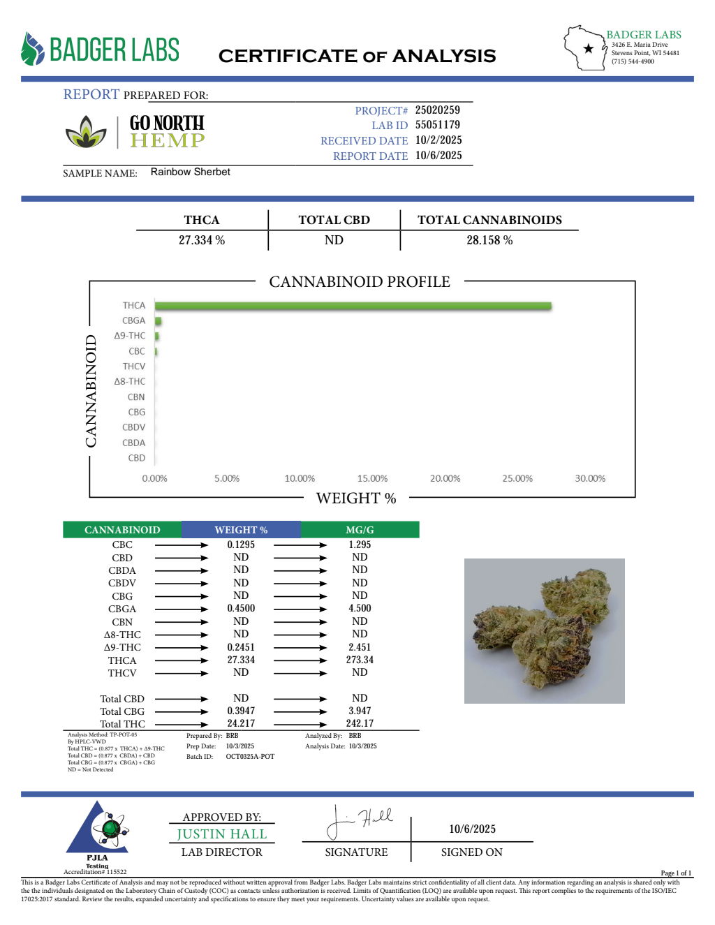 RAINBOW SHERBET — wholesale hybrid flower