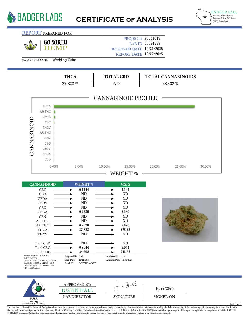 WEDDING CAKE — wholesale hybrid flower