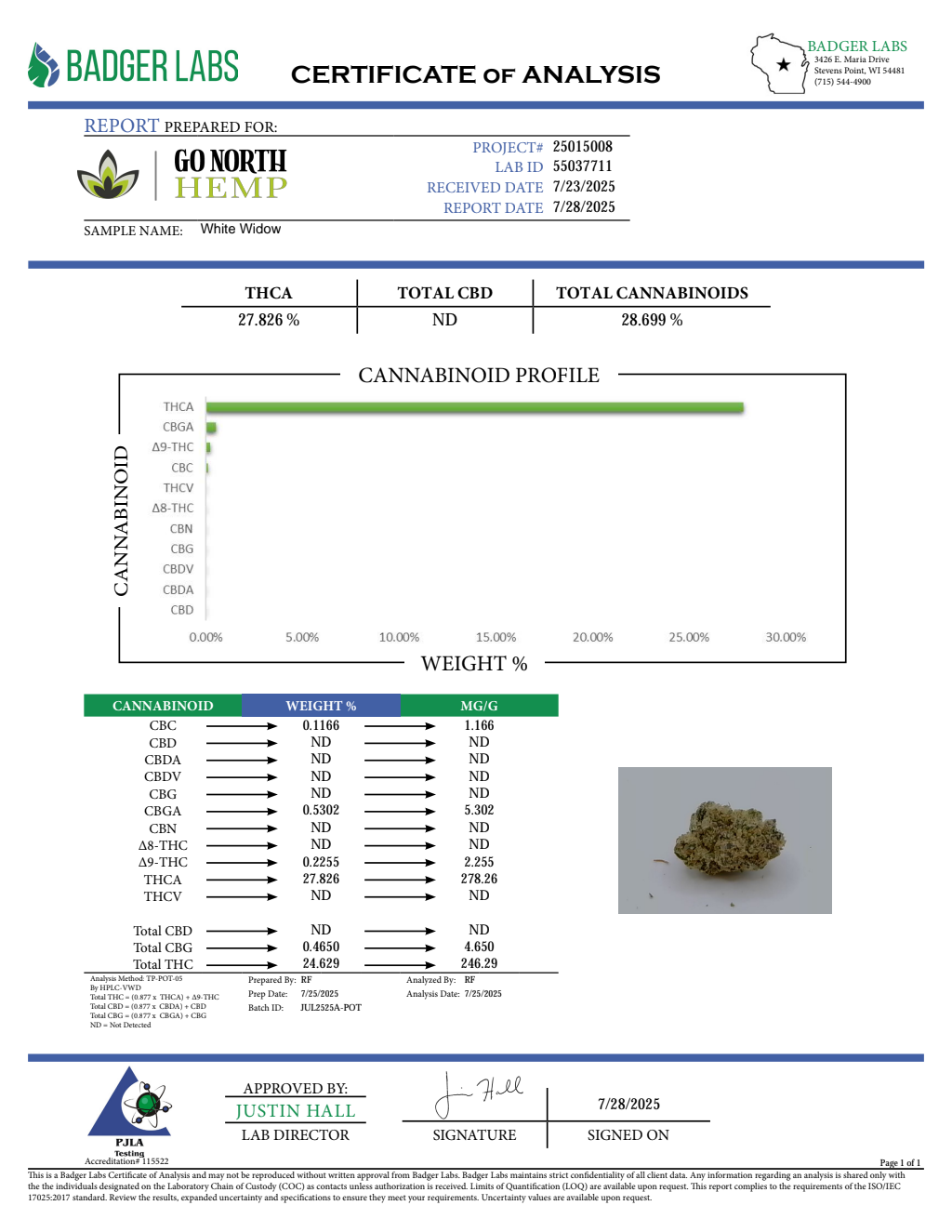 WHITE WIDOW — wholesale hybrid flower