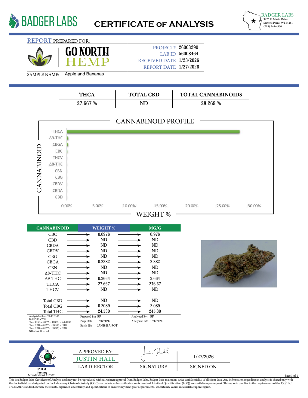APPLES AND BANANAS — wholesale hybrid flower