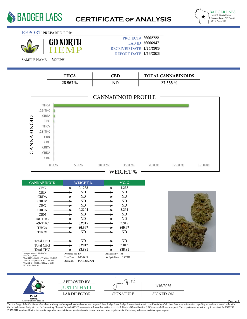 SPRITZER — wholesale hybrid flower