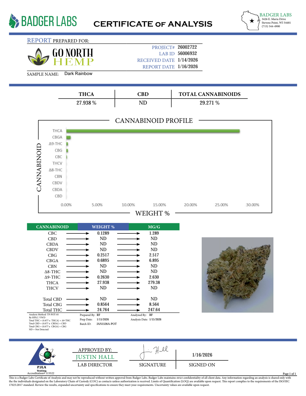 DARK RAINBOW — wholesale hybrid flower
