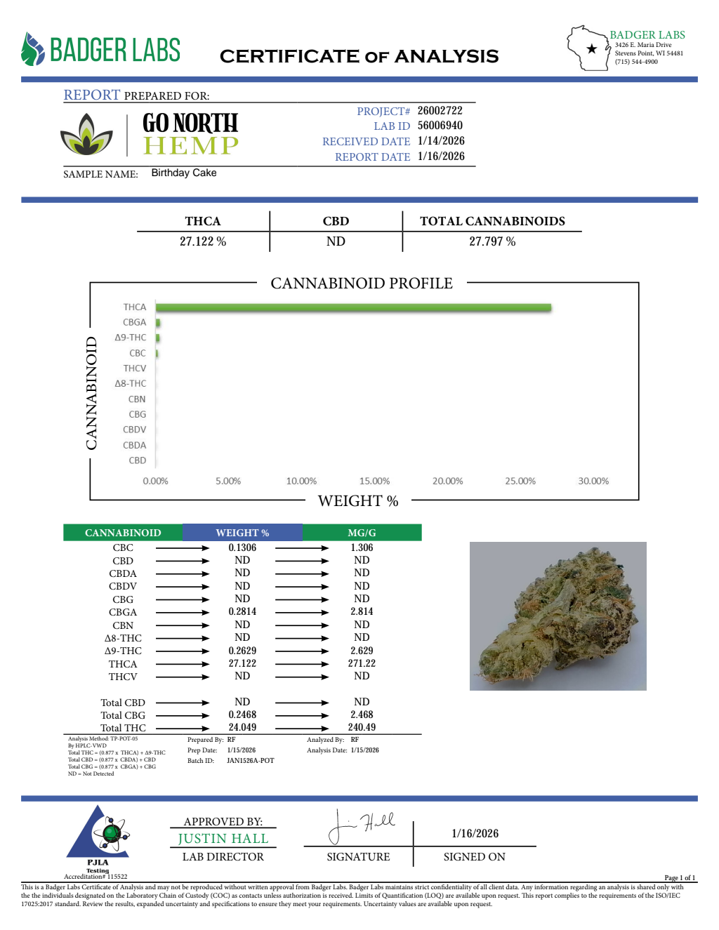 BIRTHDAY CAKE — wholesale hybrid flower