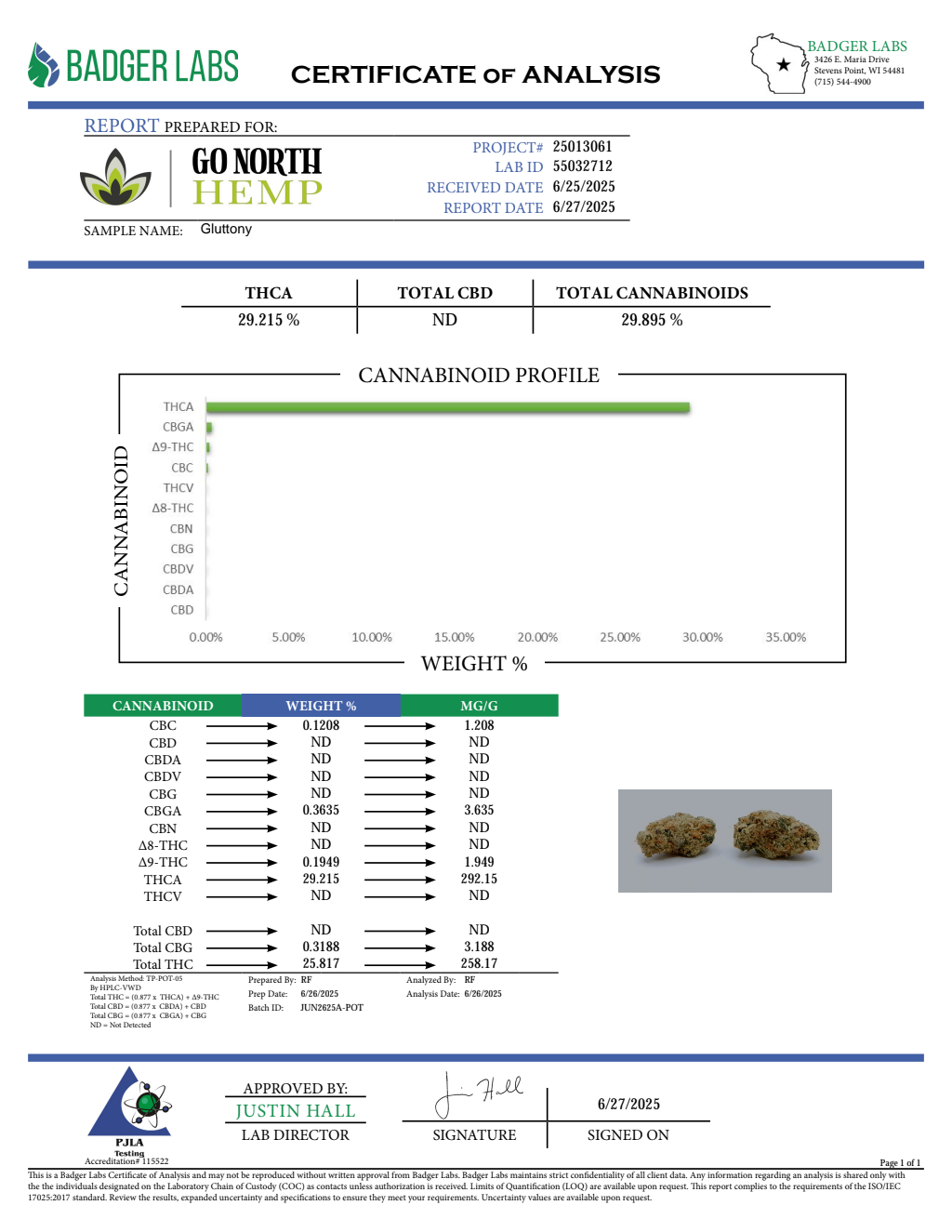 GLUTTONY — wholesale indica flower