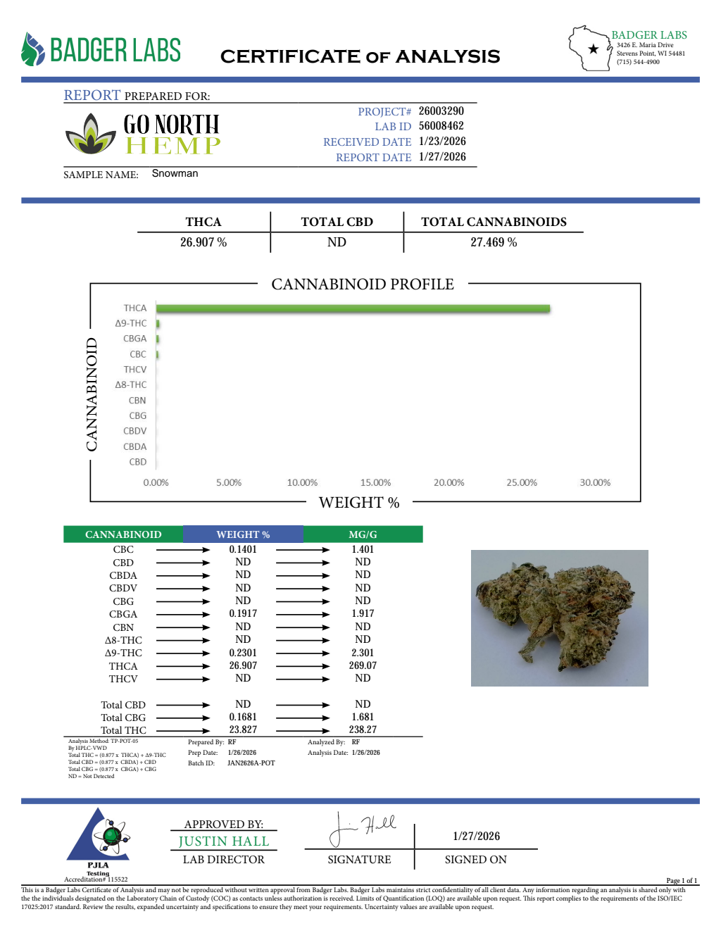 SNOWMAN — wholesale hybrid flower