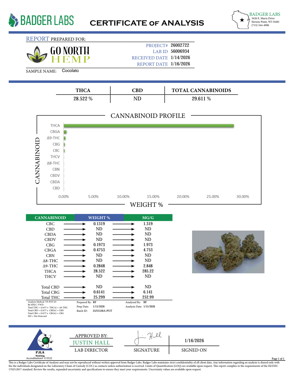 COCOLATO — wholesale hybrid flower