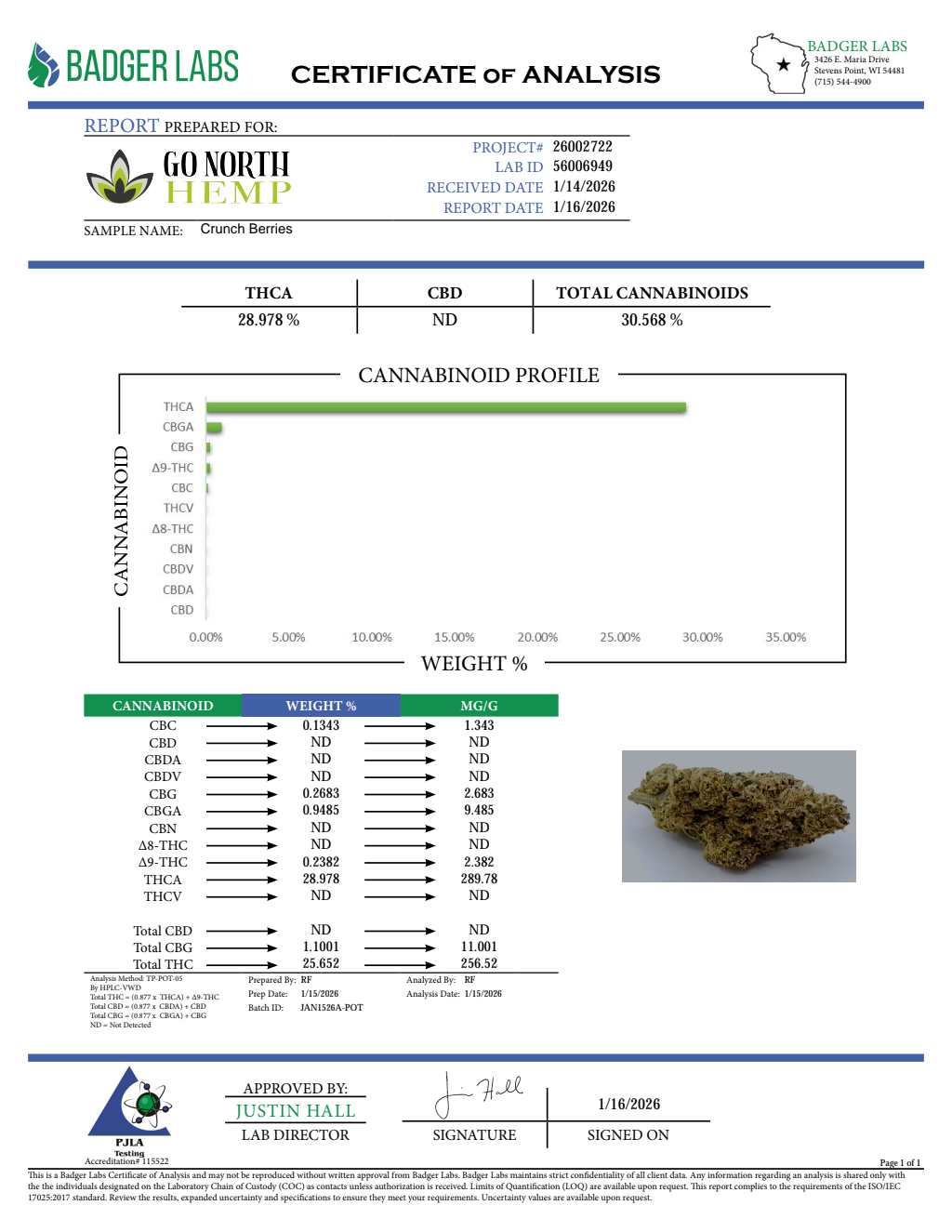 CRUNCH BERRIES — wholesale hybrid flower