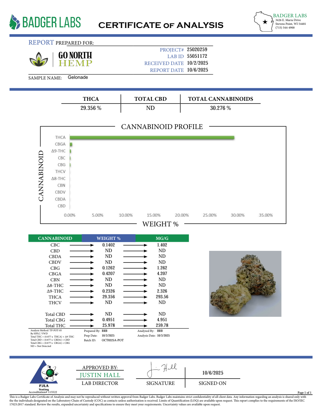 GELONADE — wholesale hybrid flower