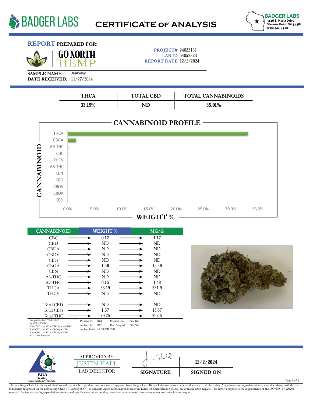 JEALOUSY — wholesale hybrid flower