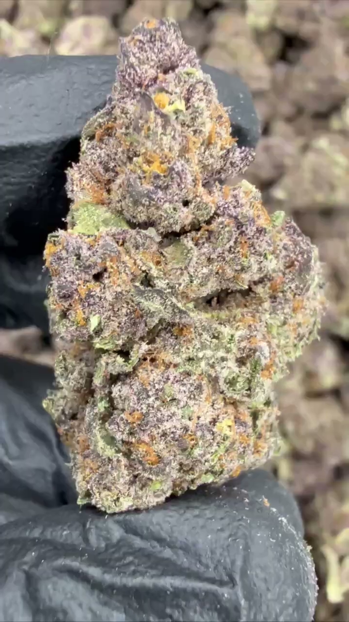 TROPICANA COOKIES — wholesale hybrid edible