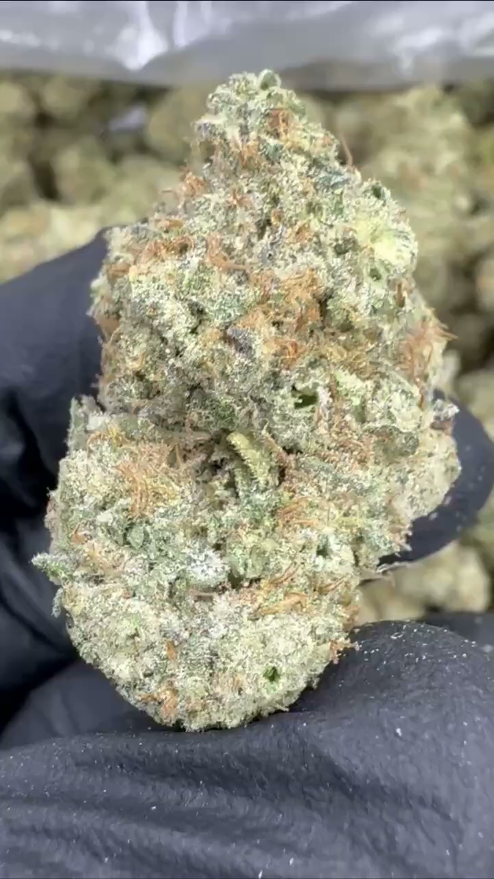 ZKITTLES — wholesale hybrid flower