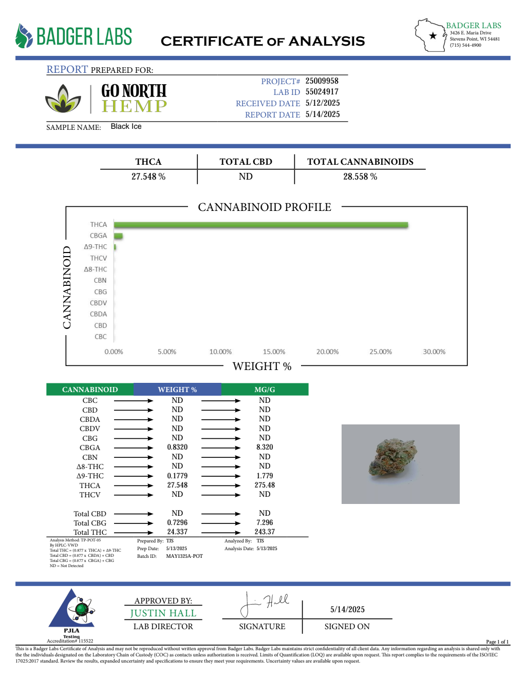 BLACK ICE — wholesale hybrid flower