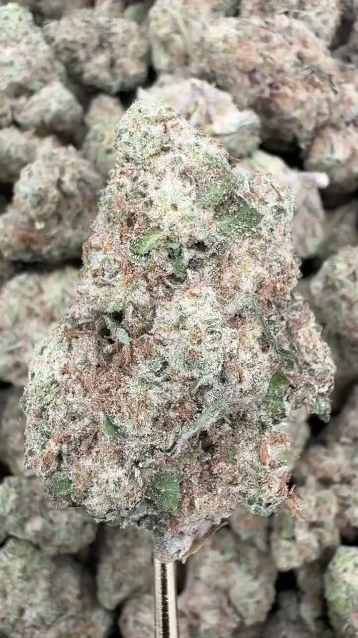 GRAPE GAS — wholesale hybrid flower