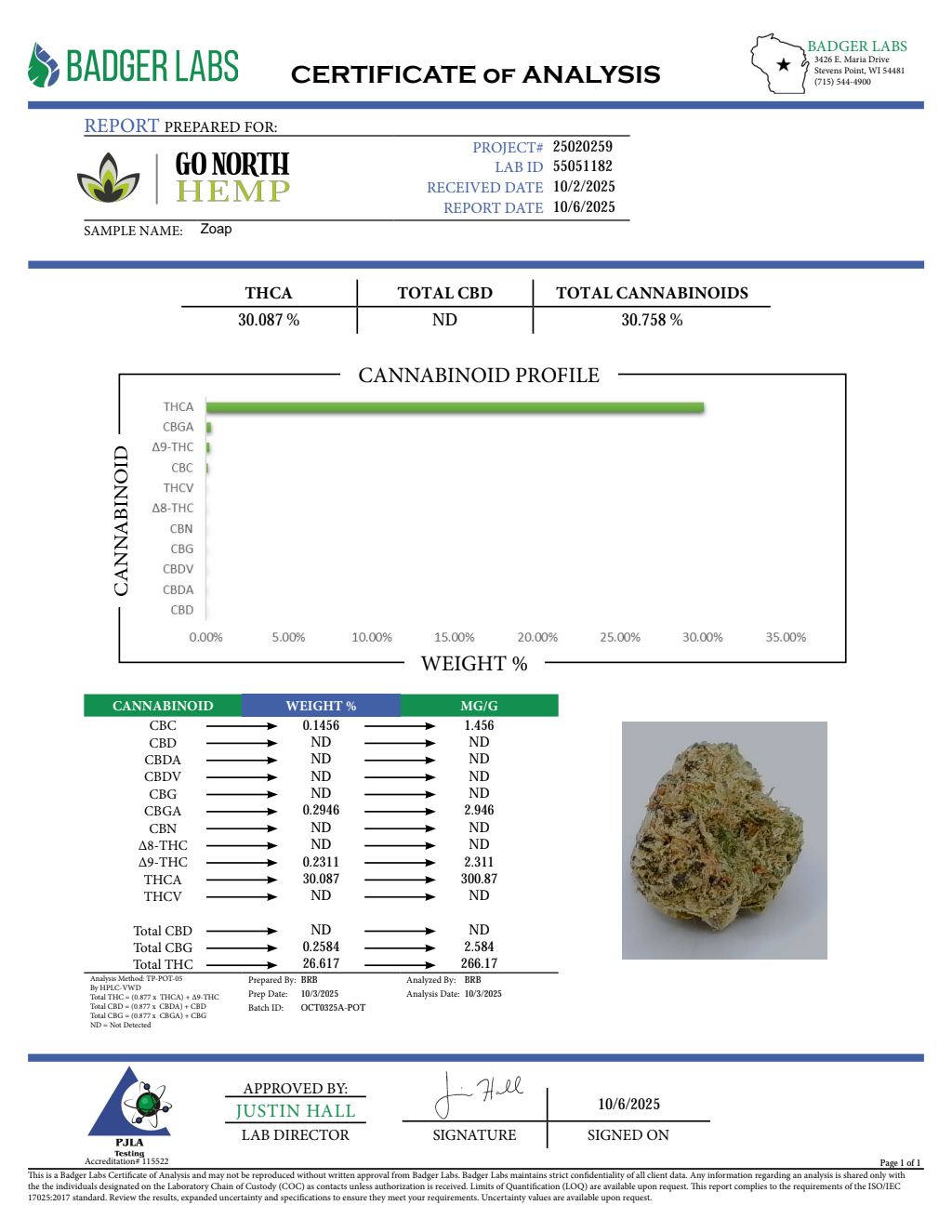 ZOAP — wholesale hybrid flower