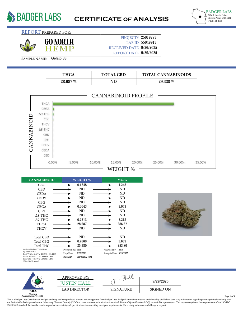 GELATO 33 — wholesale hybrid flower