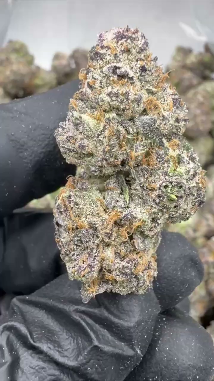 GELATO 82 — wholesale indica flower