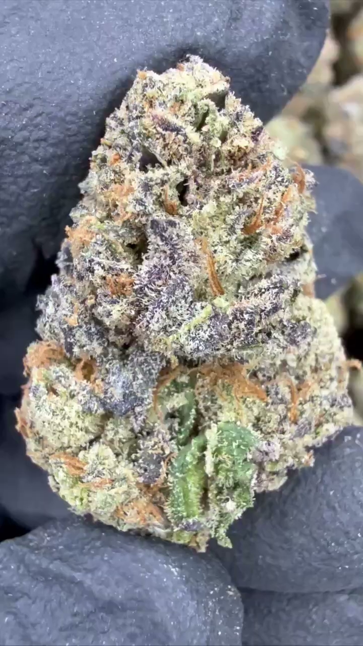 GELATO 83 — wholesale indica flower