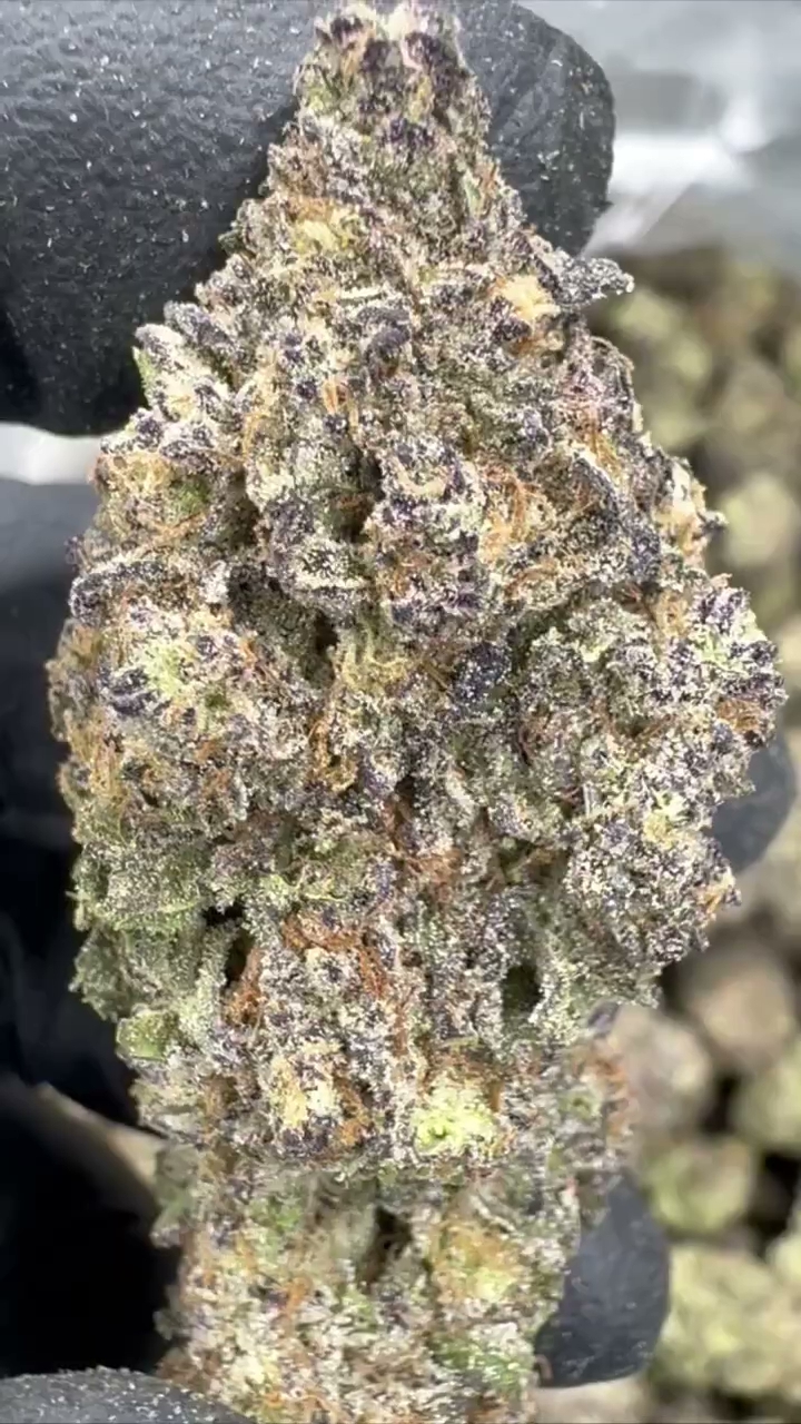 GELATO 88 — wholesale indica flower