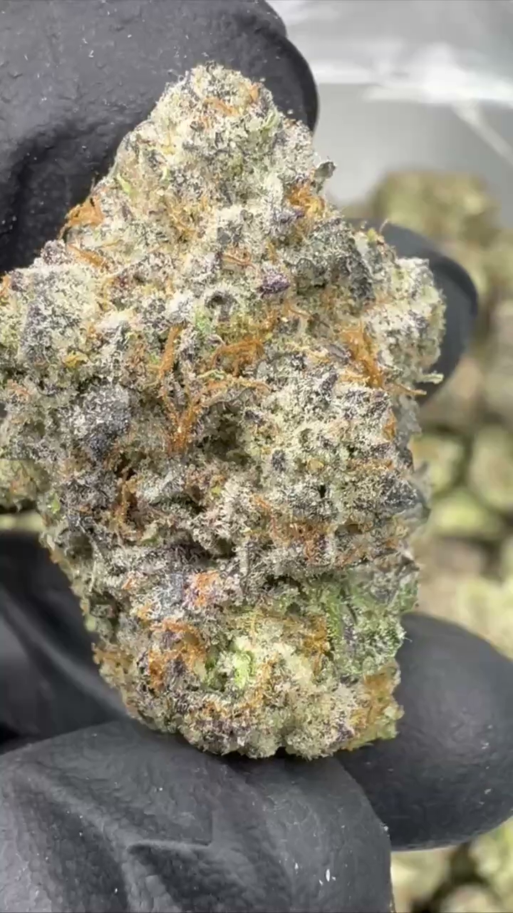 GELATO 92 — wholesale indica edible