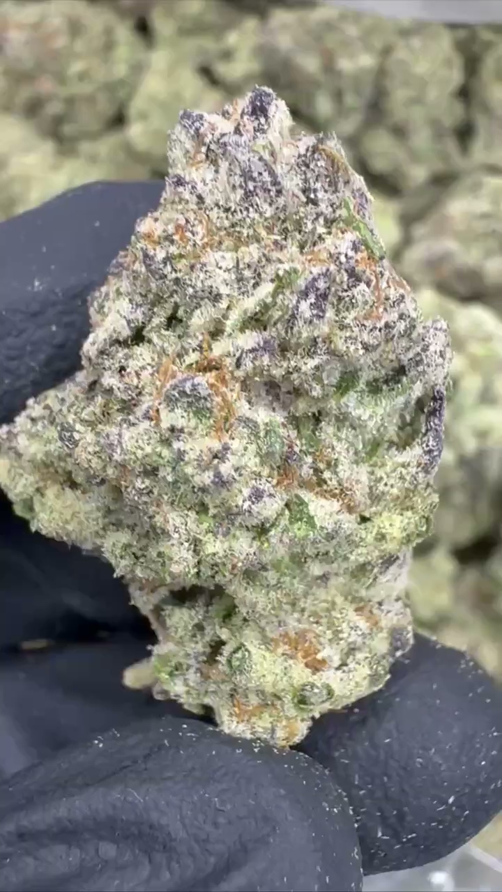 GELATO 94 — wholesale indica flower