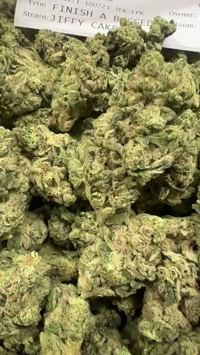 GELATO 115 — wholesale indica flower