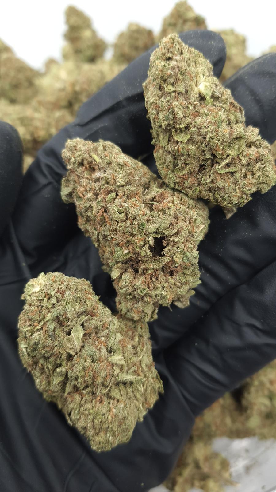 GELATO 140 — wholesale indica flower