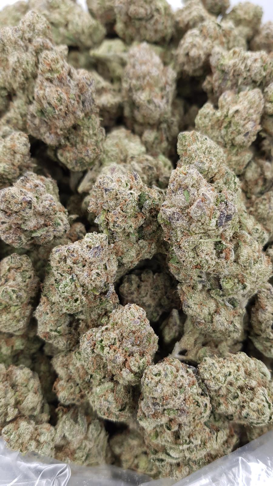GELATO 146 — wholesale indica flower