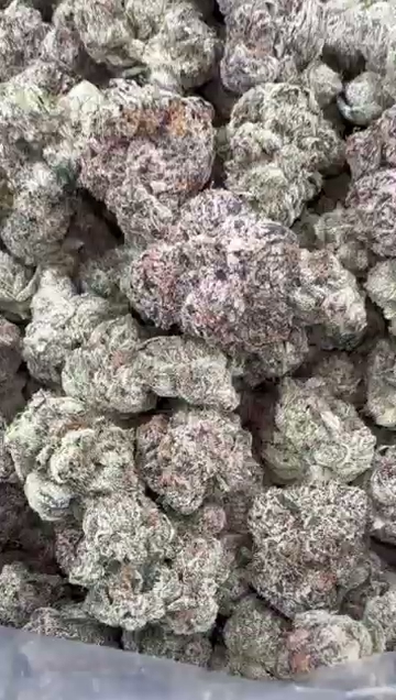 GELATO 153 — wholesale indica flower