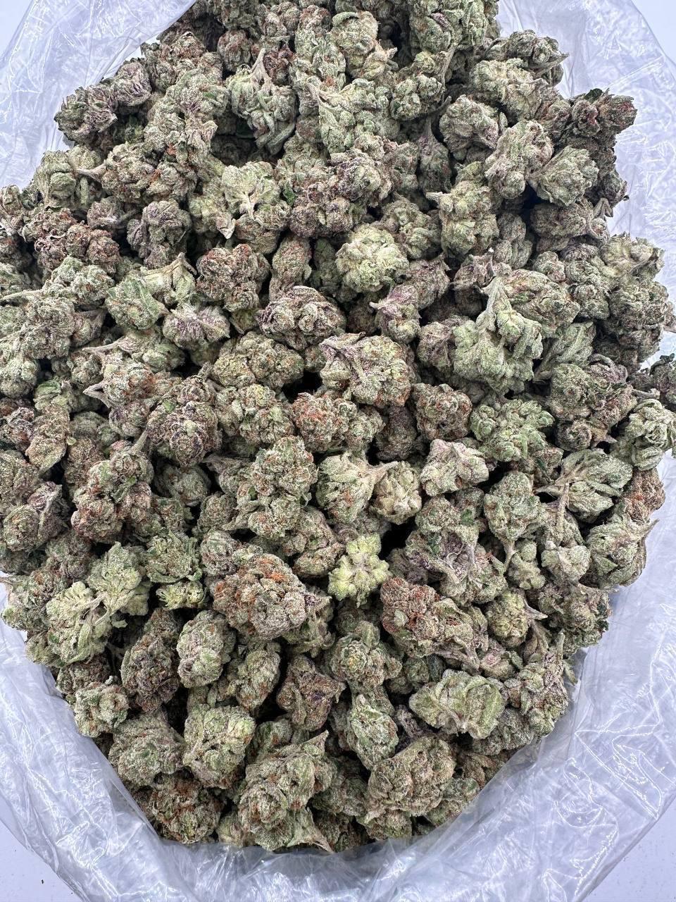 GELATO 158 — wholesale indica flower