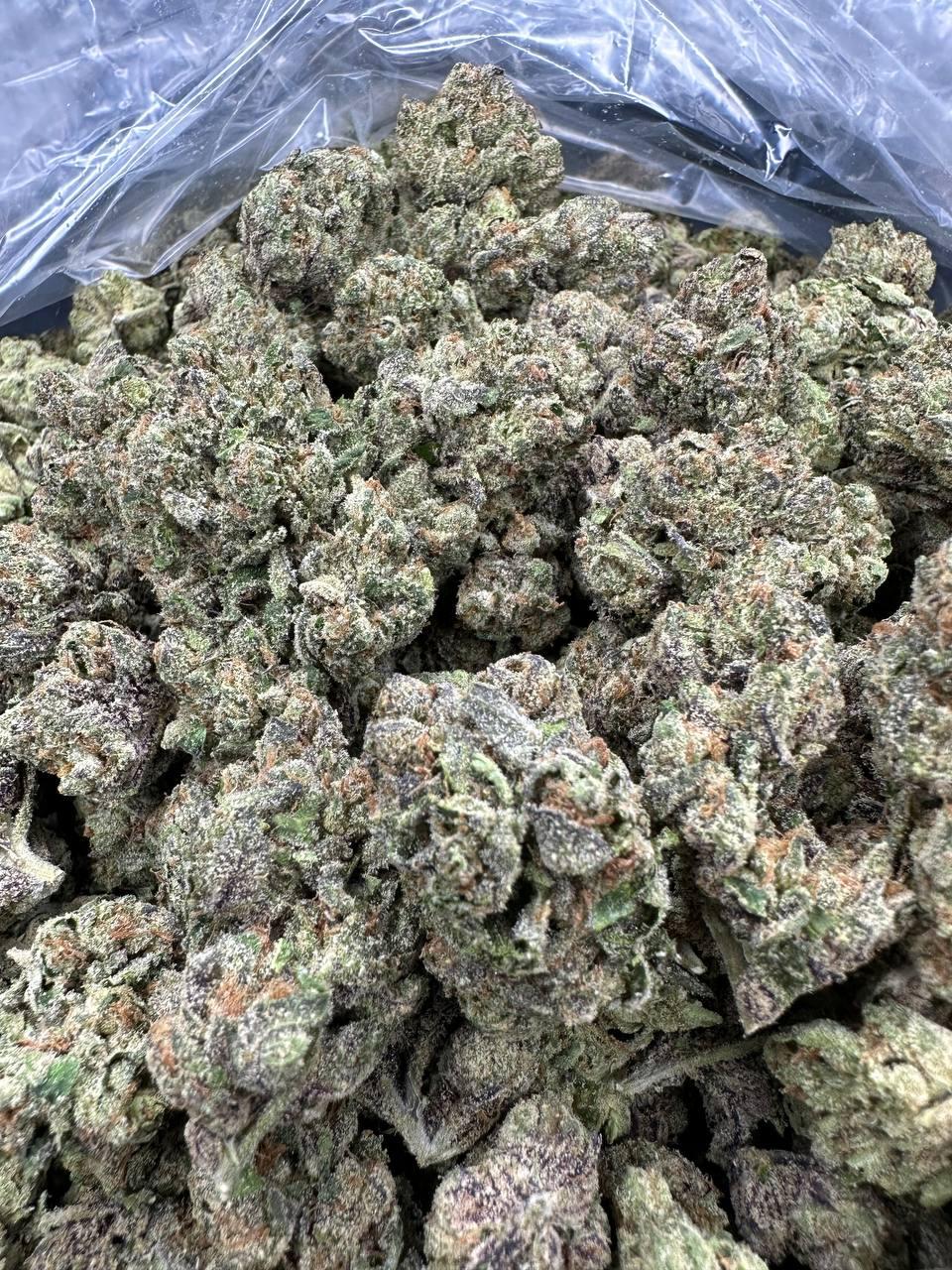 GELATO 160 — wholesale indica flower