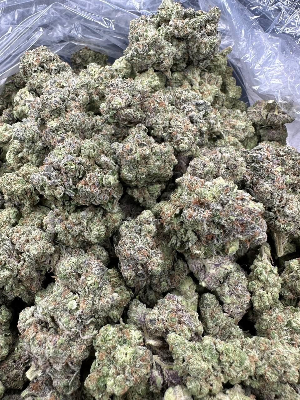 GELATO 164 — wholesale indica edible