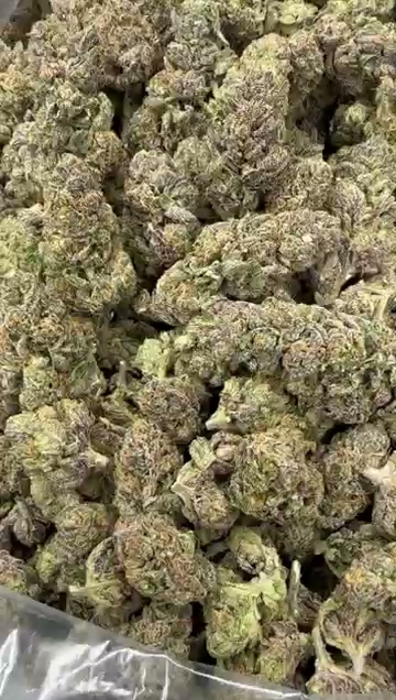 GELATO 167 — wholesale indica flower