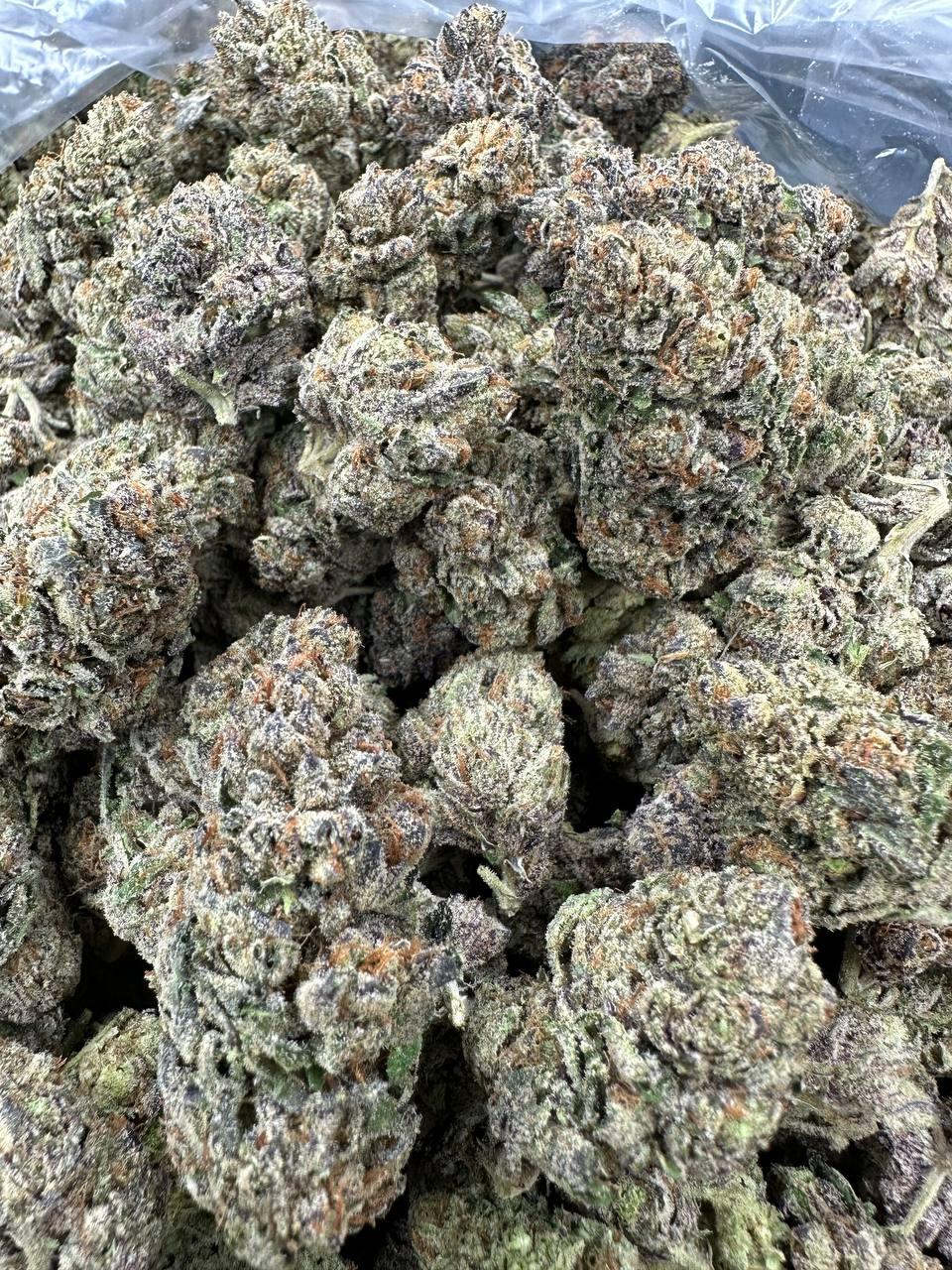 GELATO 168 — wholesale indica flower