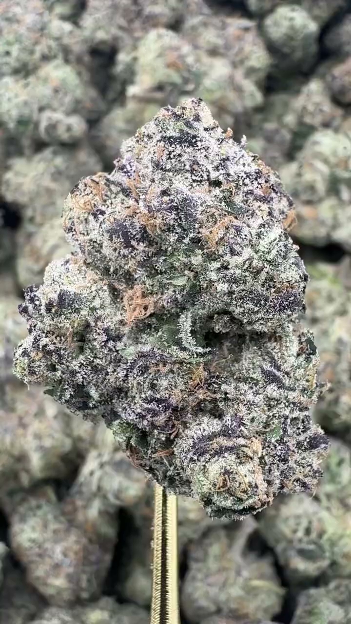 CANDY GAS — wholesale indica edible