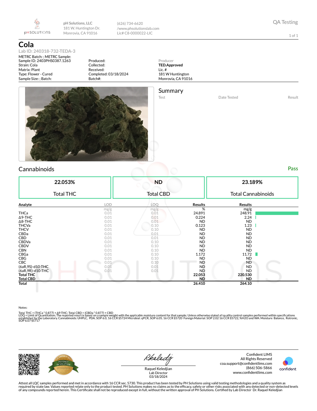 COLA SMALLS - Light Assist — wholesale indica smalls