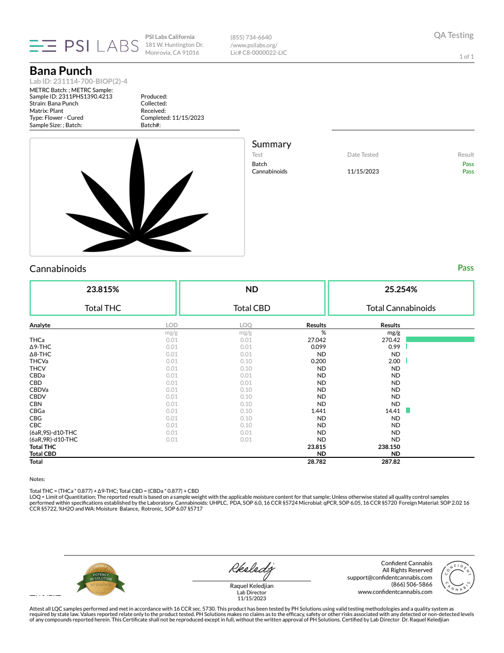 BANANA PUNCH SMALLS - Light Assist — wholesale indica smalls