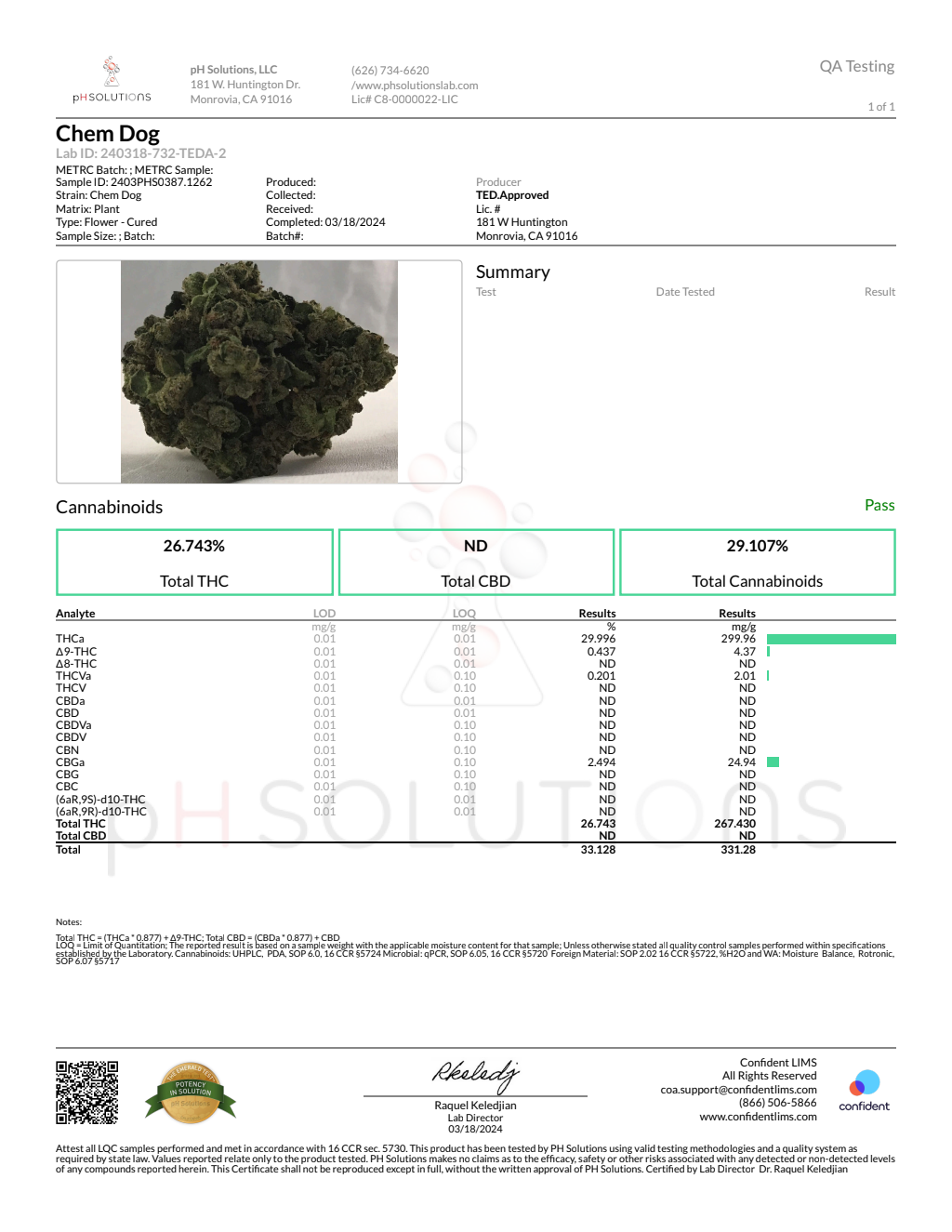 CHEM DOG SMALLS - Light Assist — wholesale hybrid smalls