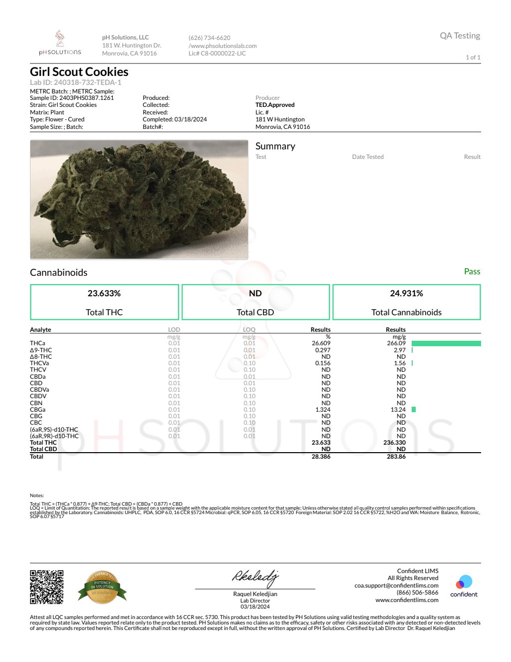 LEMON CHERRY X GSC SMALLS - Light Assist — wholesale indica smalls
