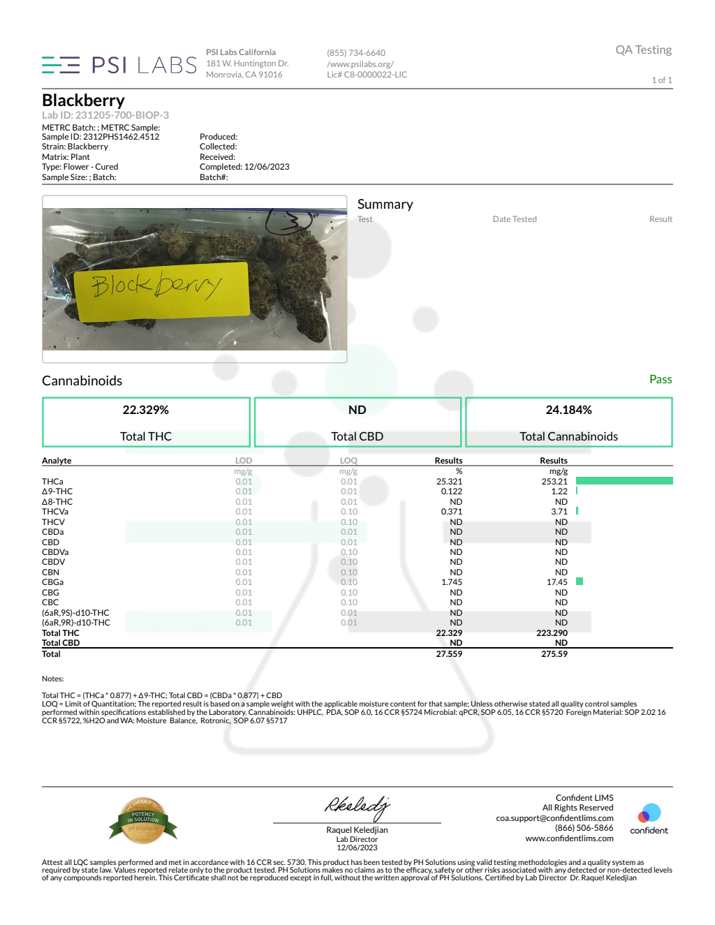 BLOCKBERRY SMALLS - ZAZA — wholesale indica smalls