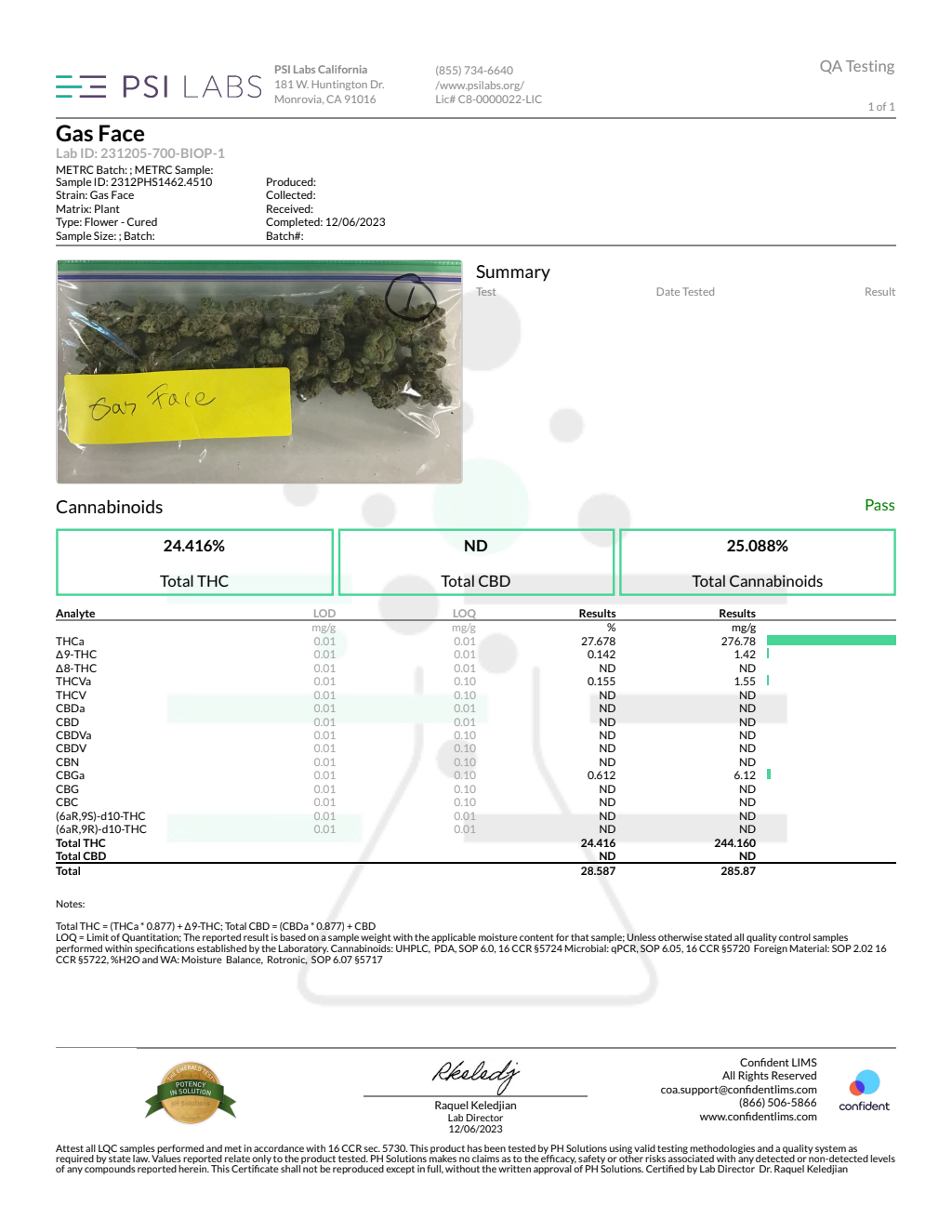 GAS FACE SMALLS - ZAZA — wholesale indica smalls