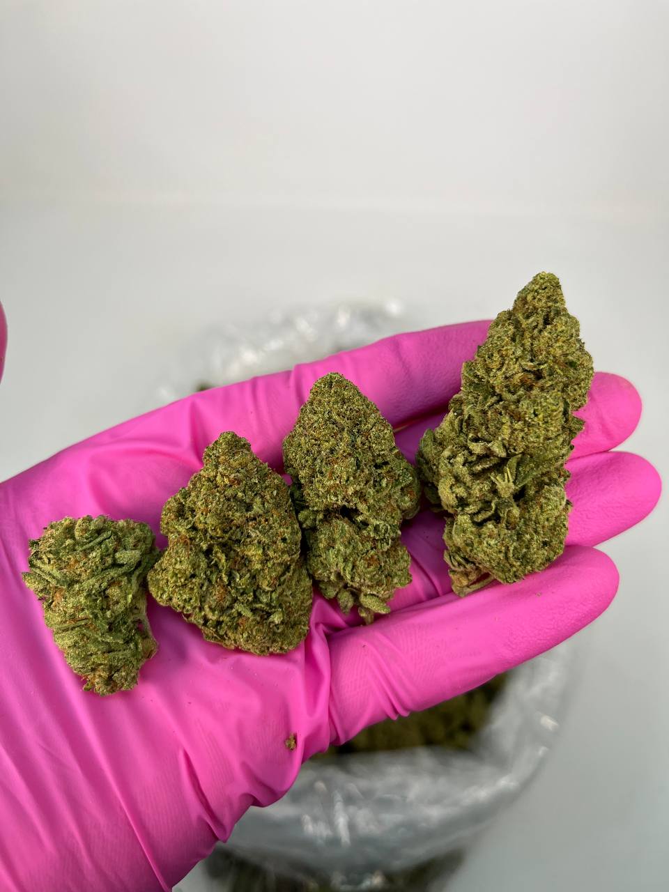 GIRL SCOUT COOKIES — wholesale hybrid edible