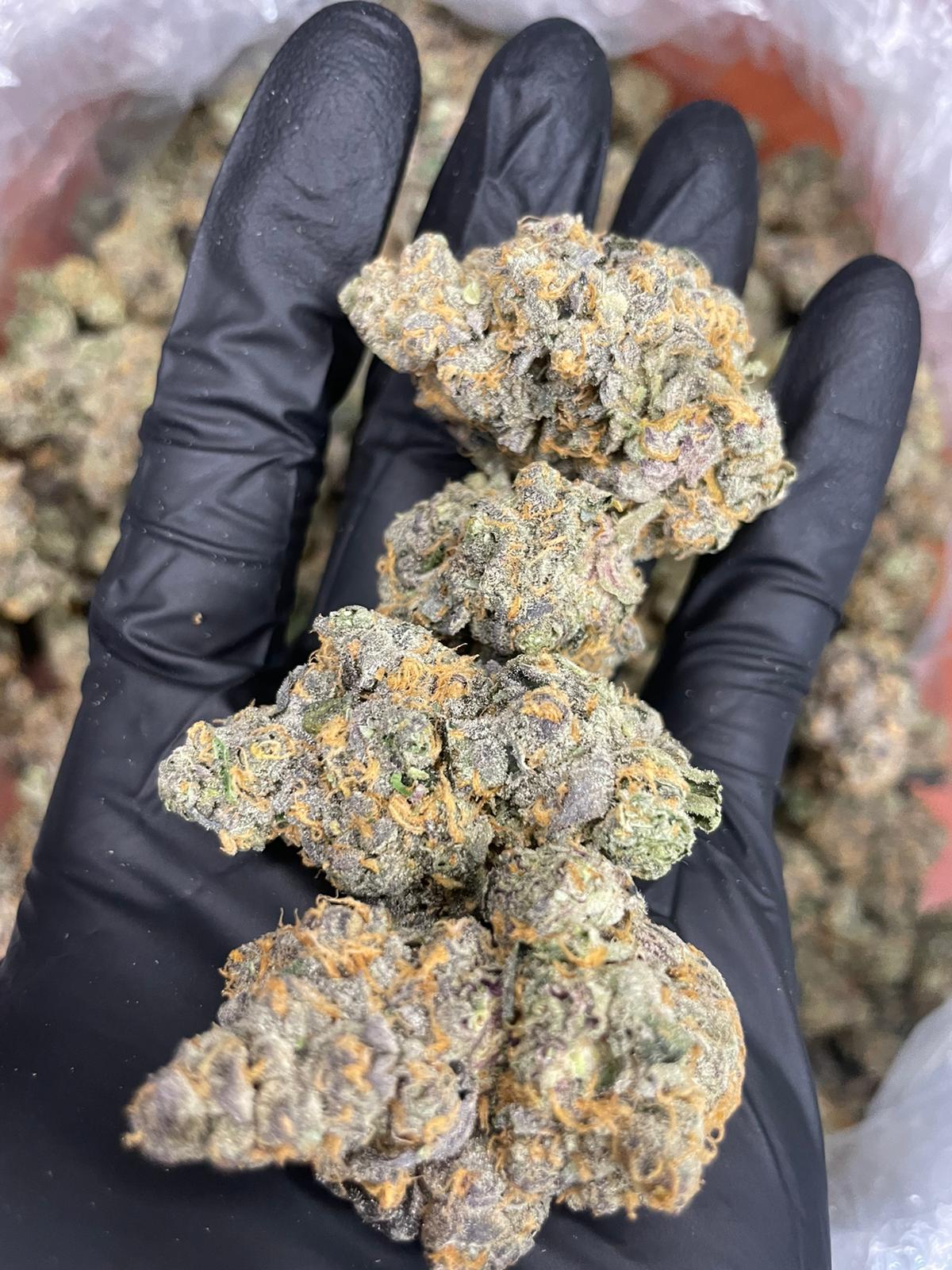 HOOD CANDY — wholesale hybrid edible