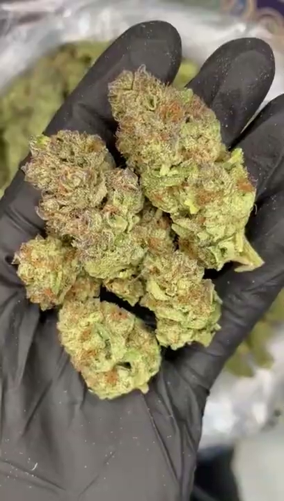 ICE CREAM CAKE — wholesale hybrid flower