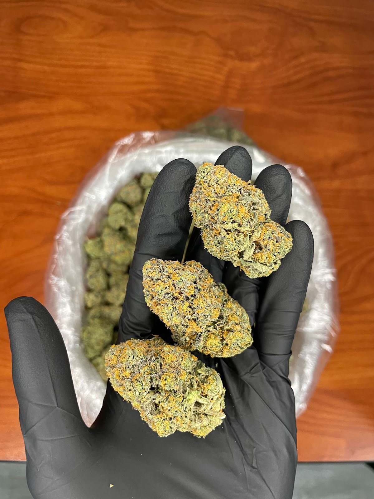 MANGO DREAM — wholesale hybrid flower