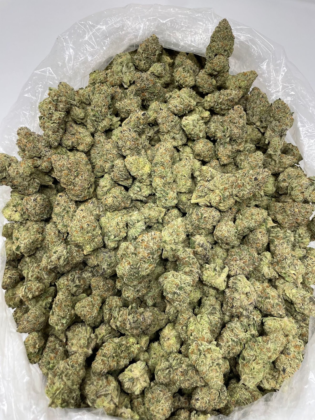 MOCHI — wholesale hybrid flower