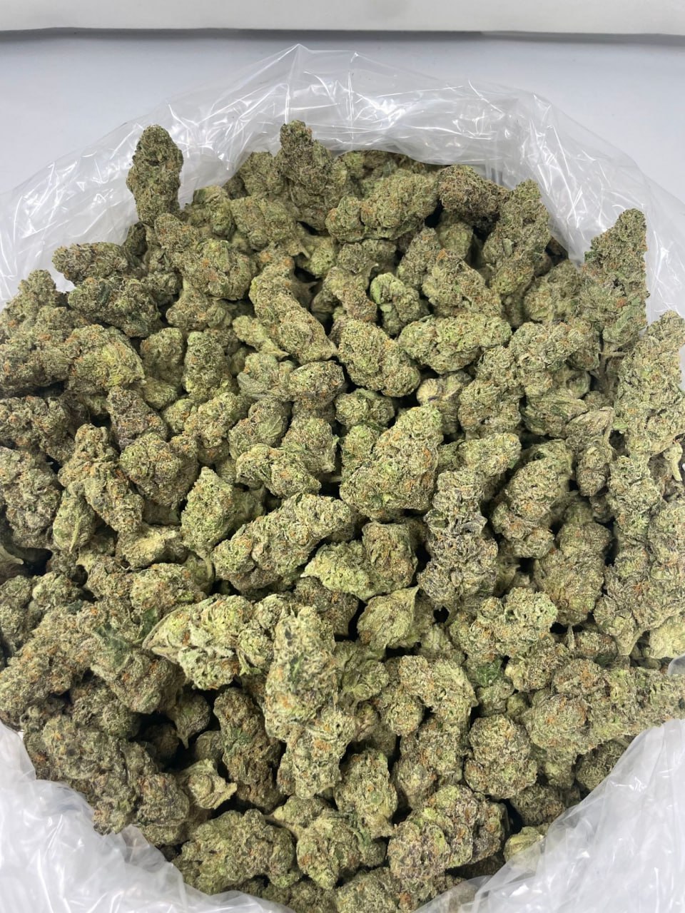 OCTANE GAS — wholesale hybrid flower