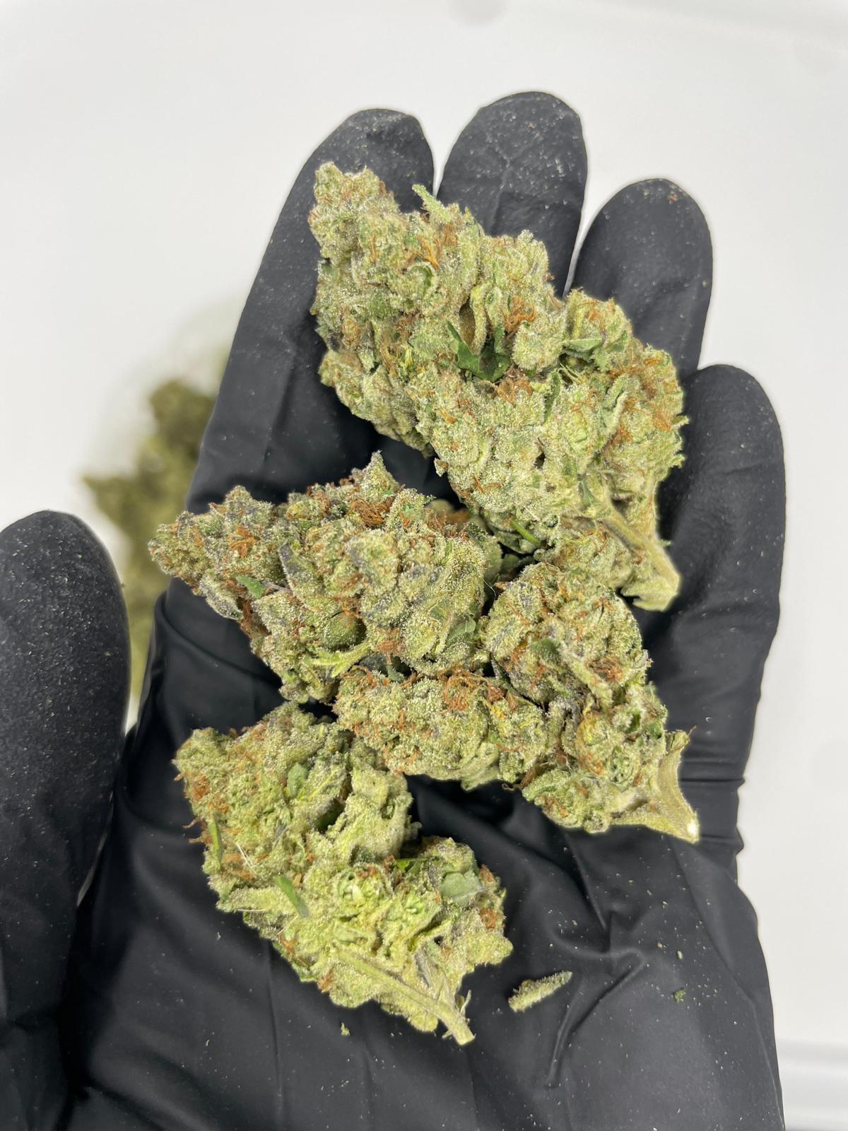 OG KUSH — wholesale hybrid flower