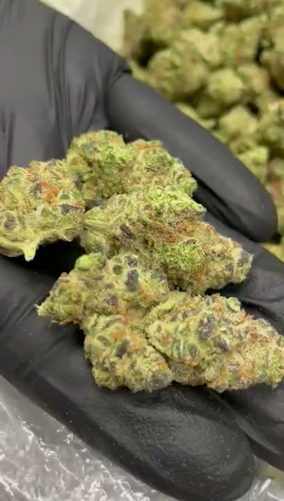 PEANUT BUTTER BREATH — wholesale hybrid flower