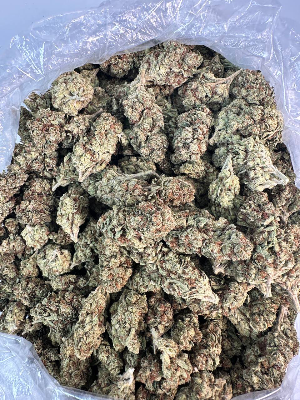 PINEAPPLE EXPRESS — wholesale hybrid flower