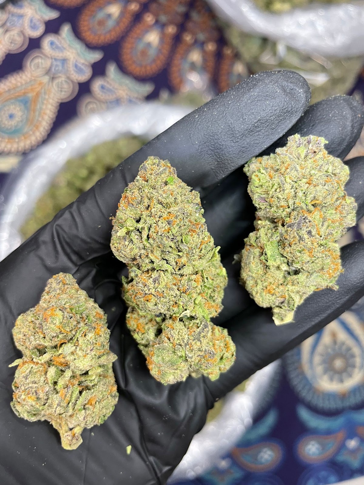 PURPLE OG KUSH — wholesale hybrid flower